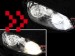 Lâmpadas Led T10 com 12 led smd _ branco (2 unidades)